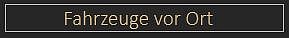 Fahrzeuge vor Ort
